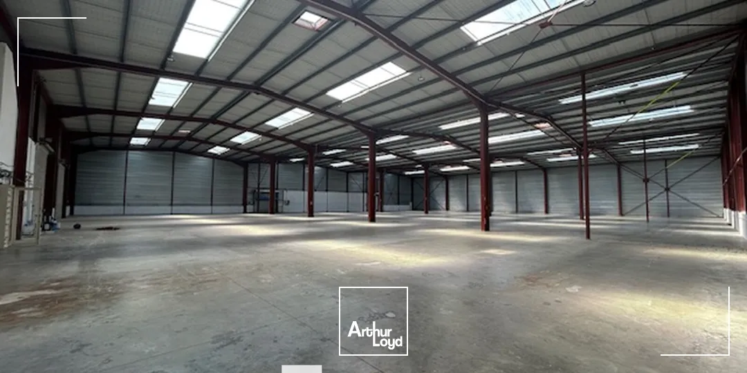 Locaux d'activité & Entrepôts - Location - MIRIBEL - 01700 - 3603-3603 - 7895884