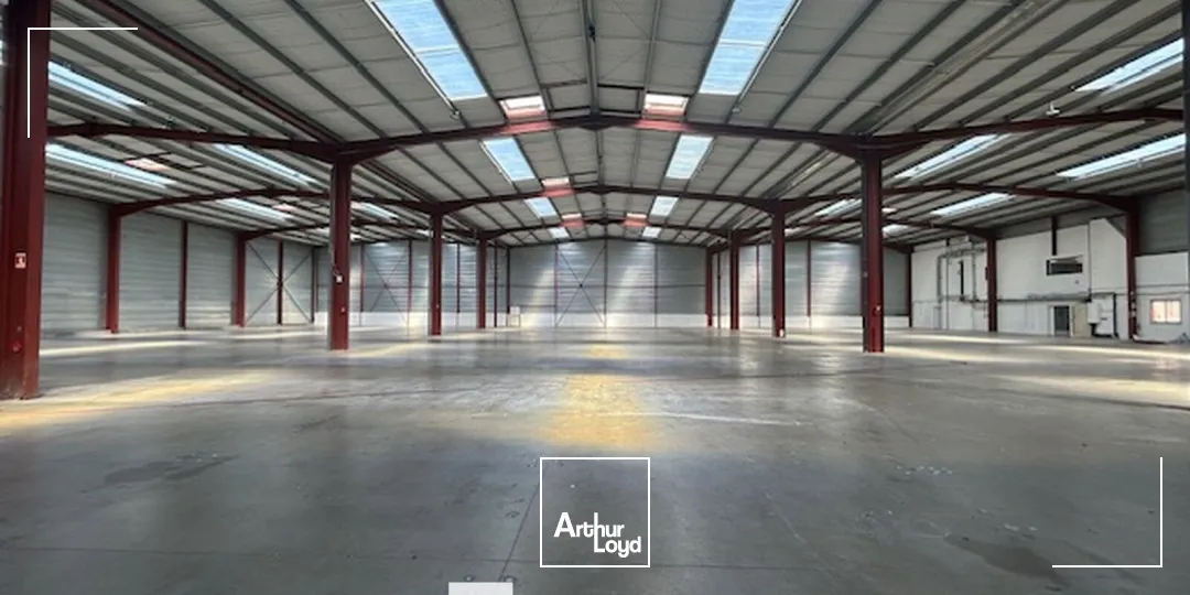 Locaux d'activité & Entrepôts - Location - MIRIBEL - 01700 - 3603-3603 - 7895885