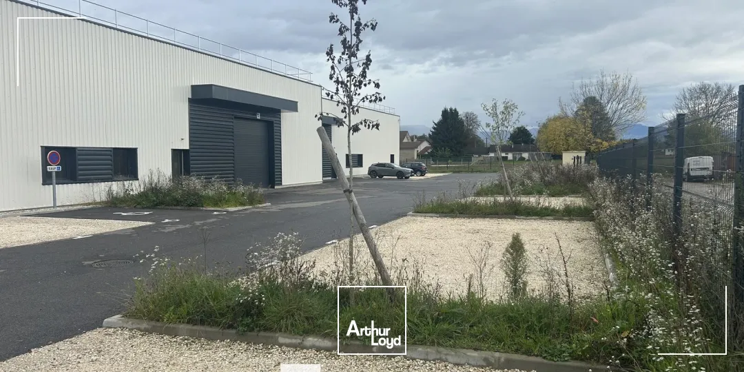 Locaux d'activité & Entrepôts - Vente - GRANIEU - 38490 - 686-686 - 7895933