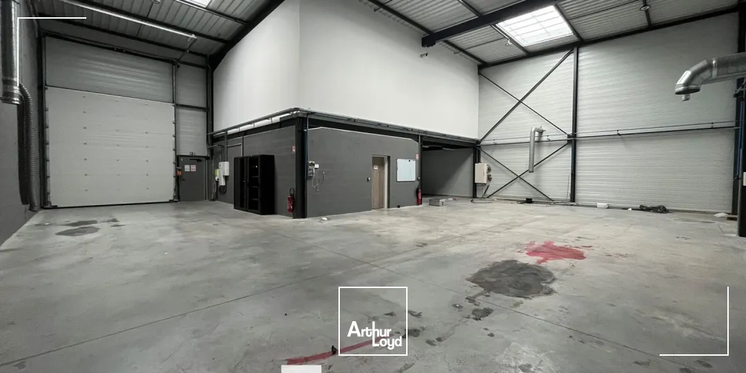 Locaux d'activité & Entrepôts - Location - CHASSIEU - 69680 - 243-866 - 7896006