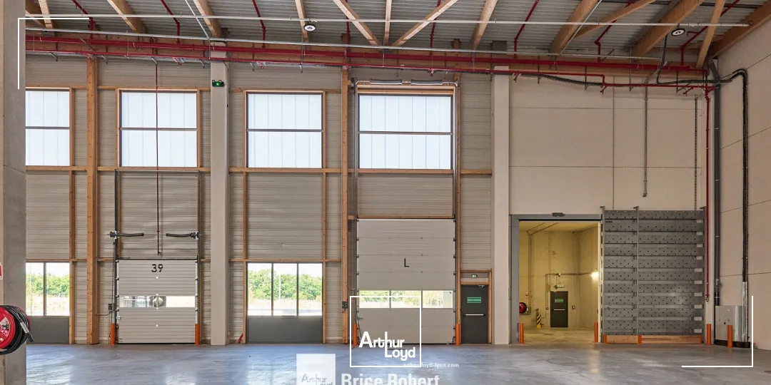 Locaux d'activité & Entrepôts - Location - MIONNAY - 01390 - 3026-35487 - 7896015