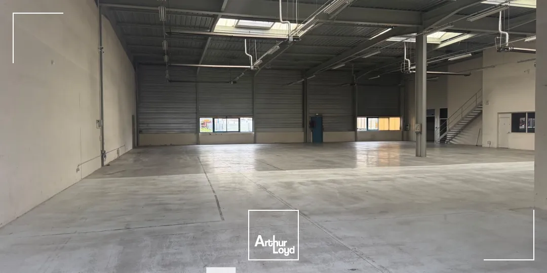 Locaux d'activité & Entrepôts - Location - CHASSIEU - 69680 - 1290-1290 - 7896676