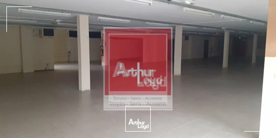 Locaux d'activité & Entrepôts - Vente - SAINTE SAVINE - 10300 - 1000-1000 - 7897080