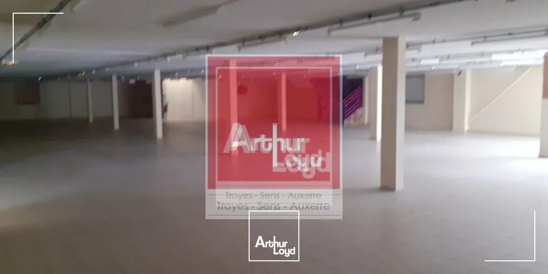 Locaux d'activité & Entrepôts - Vente - SAINTE SAVINE - 10300 - 1000-1000 - 7897075