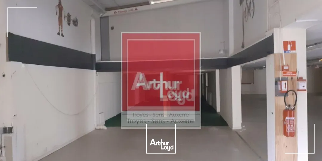 Locaux d'activité & Entrepôts - Vente - SAINTE SAVINE - 10300 - 1000-1000 - 7897076