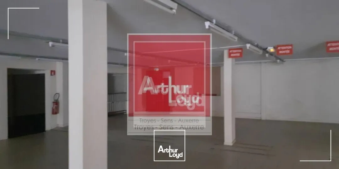 Locaux d'activité & Entrepôts - Vente - SAINTE SAVINE - 10300 - 1000-1000 - 7897078