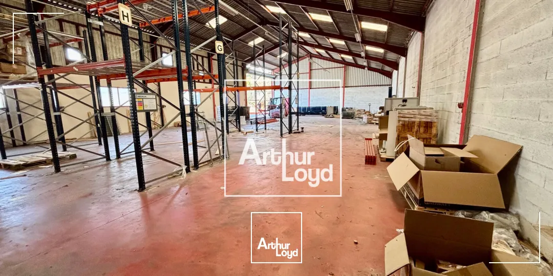 Locaux d'activité & Entrepôts - Location - TEYRAN - 34820 - 785-785 - 7897118