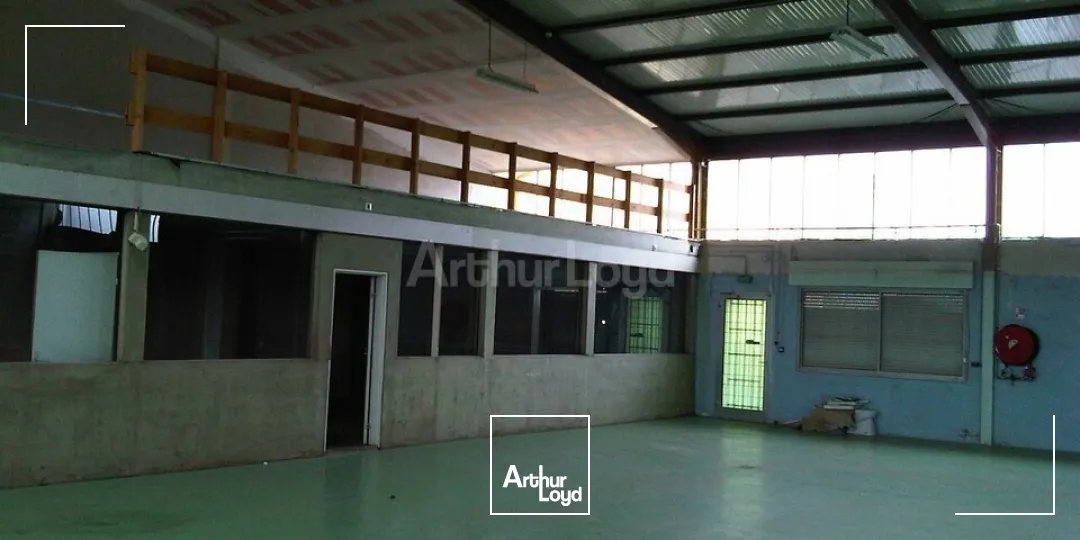 Locaux d'activité & Entrepôts - Location - SAUSHEIM - 68390 - 270-270 - 7897879