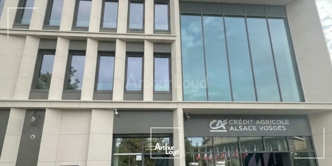 Bureaux - Location - STRASBOURG - 67000 - 361-2841 - 7898920
