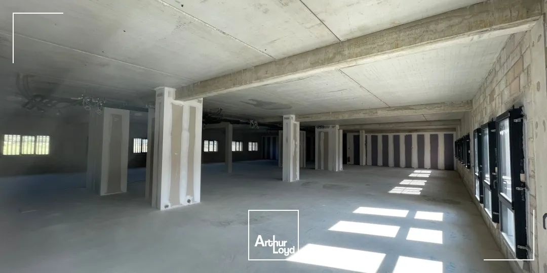 Bureaux - Vente - MONTREDON DES CORBIERES - 11100 - 43.64-1196.55 - 7899311