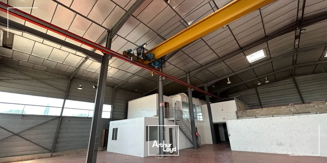 Locaux d'activité & Entrepôts - Location - PERPIGNAN - 66000 - 1235-1235 - 7899339