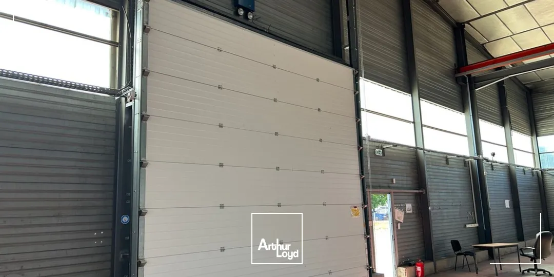 Locaux d'activité & Entrepôts - Location - PERPIGNAN - 66000 - 1235-1235 - 7899348