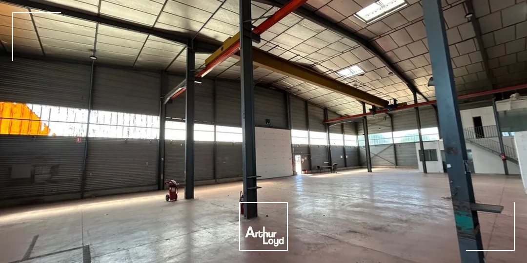Locaux d'activité & Entrepôts - Vente - PERPIGNAN - 66000 - 1235-1235 - 7899357