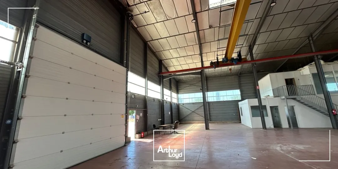 Locaux d'activité & Entrepôts - Vente - PERPIGNAN - 66000 - 1235-1235 - 7899354