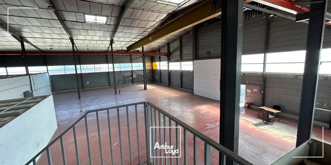 Locaux d'activité & Entrepôts - Vente - PERPIGNAN - 66000 - 1235-1235 - 7899356