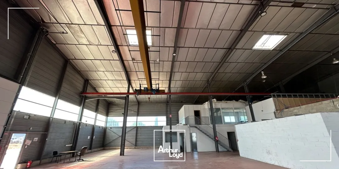 Locaux d'activité & Entrepôts - Vente - PERPIGNAN - 66000 - 1235-1235 - 7899352