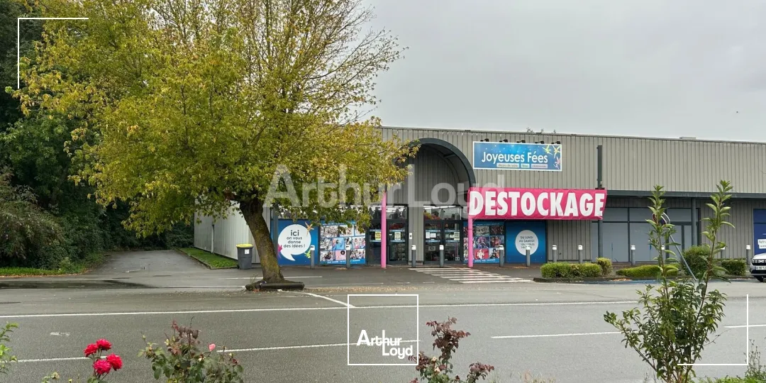 Locaux commerciaux - Location - LYS LEZ LANNOY - 59390 - 669-669 - 7899608