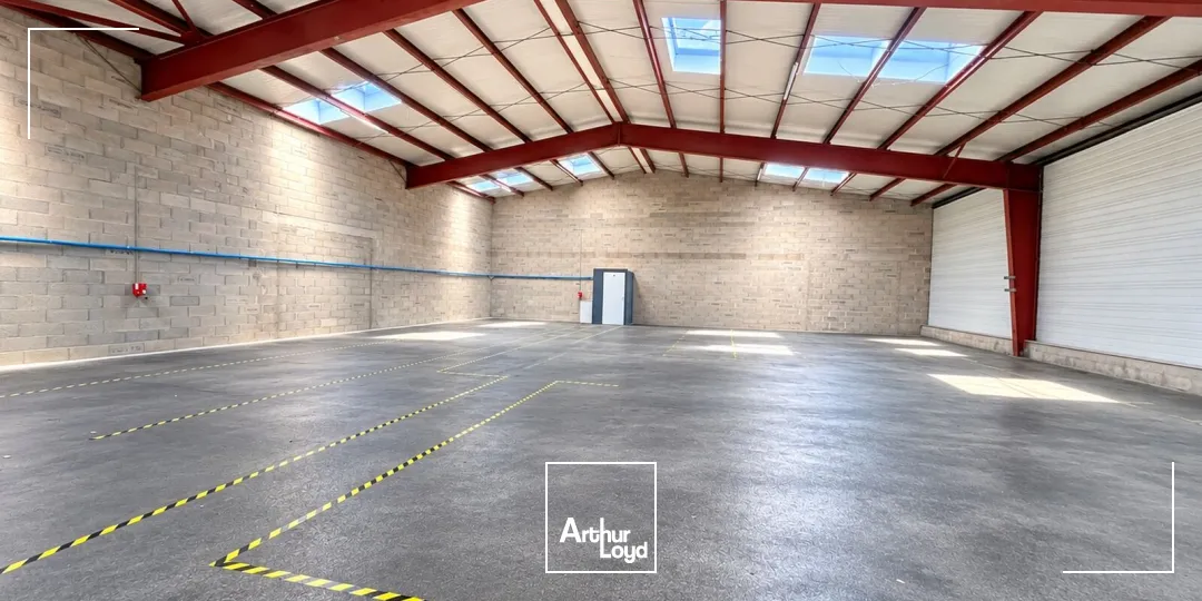 Locaux d'activité & Entrepôts - Location - SAVIGNEUX - 42600 - 342-342 - 7899630