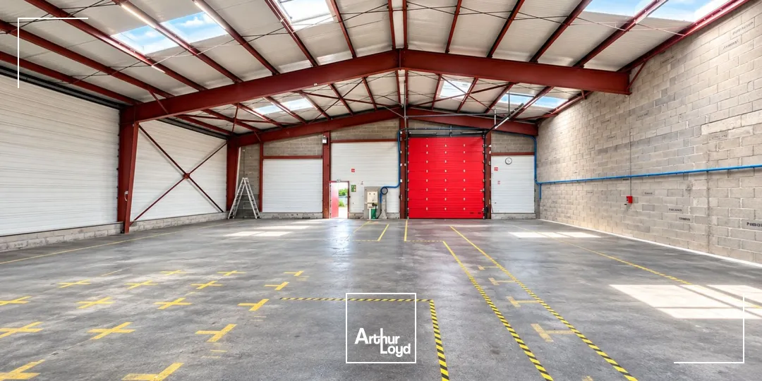 Locaux d'activité & Entrepôts - Location - SAVIGNEUX - 42600 - 342-342 - 7899629