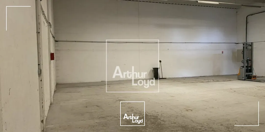 Locaux d'activité & Entrepôts - Location - MOISSY-CRAMAYEL - 77550 - 300-300 - 7899925