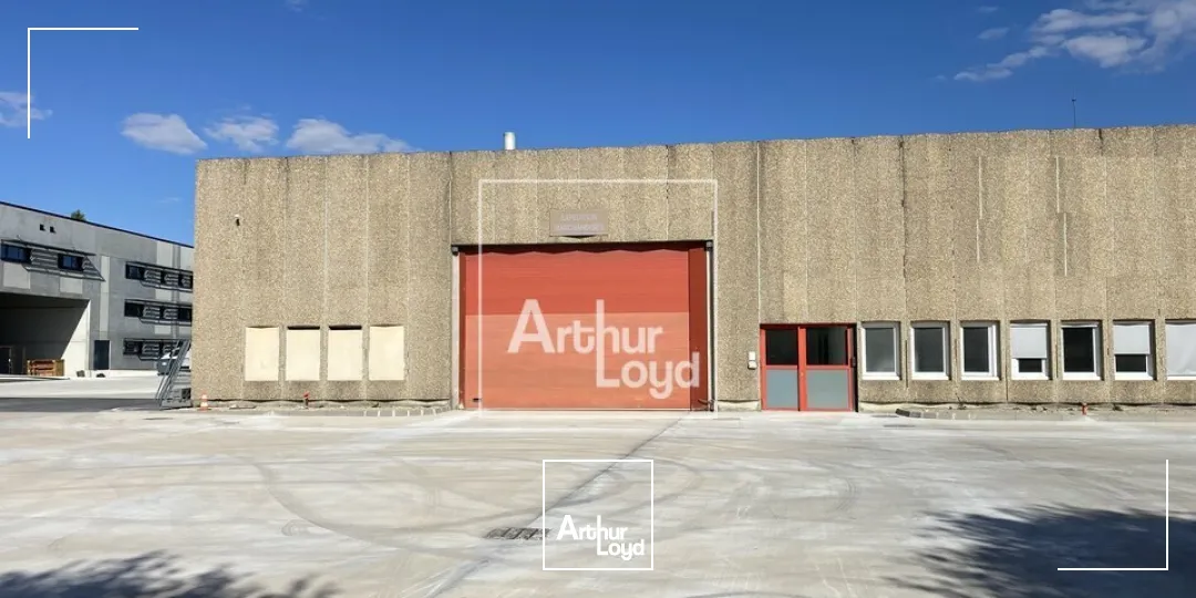 Locaux d'activité & Entrepôts - Location - MOISSY CRAMAYEL - 77550 - 2744-2744 - 7899929