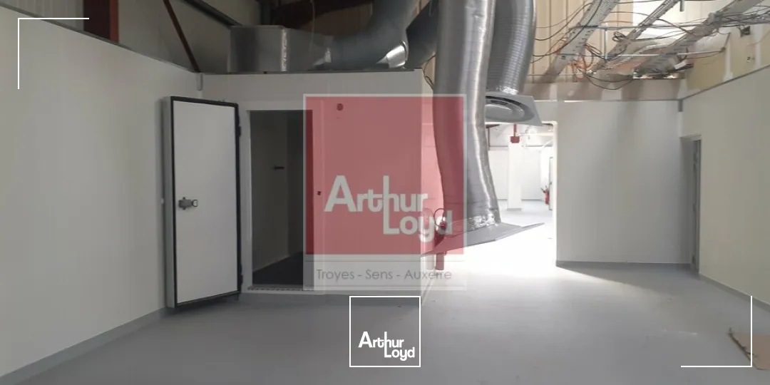 Locaux d'activité & Entrepôts - Vente - SAINT-PARRES-LÈS-VAUDES - 10260 - 1000-1000 - 7901229