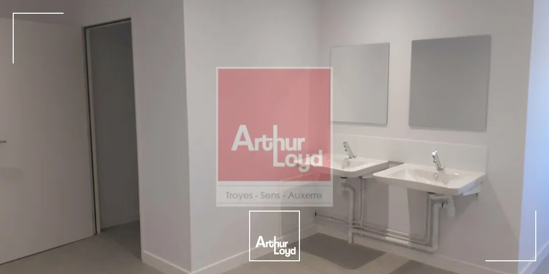 Locaux d'activité & Entrepôts - Vente - SAINT-PARRES-LÈS-VAUDES - 10260 - 1000-1000 - 7901230