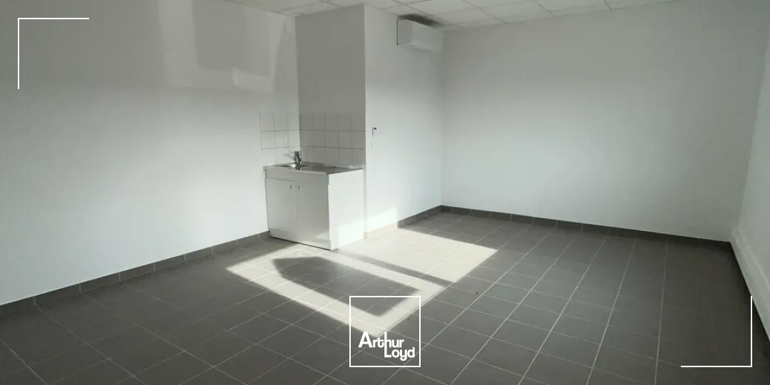 Locaux d'activité & Entrepôts - Location - ILLKIRCH GRAFFENSTADEN - 67400 - 189-189 - 7903046