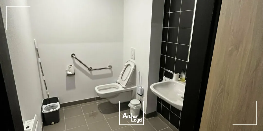 Locaux d'activité & Entrepôts - Location - ILLKIRCH GRAFFENSTADEN - 67400 - 189-189 - 7903048