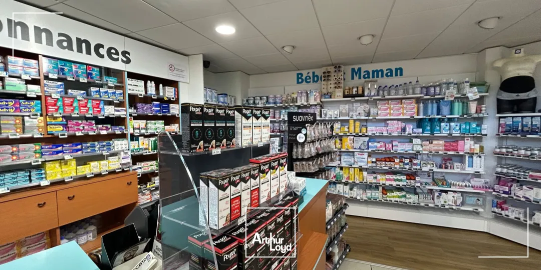 Locaux commerciaux - Location - PONT SAINT MARTIN - 44860 - 250-250 - 7903429