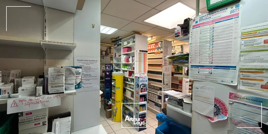 Locaux commerciaux - Location - PONT SAINT MARTIN - 44860 - 250-250 - 7903428