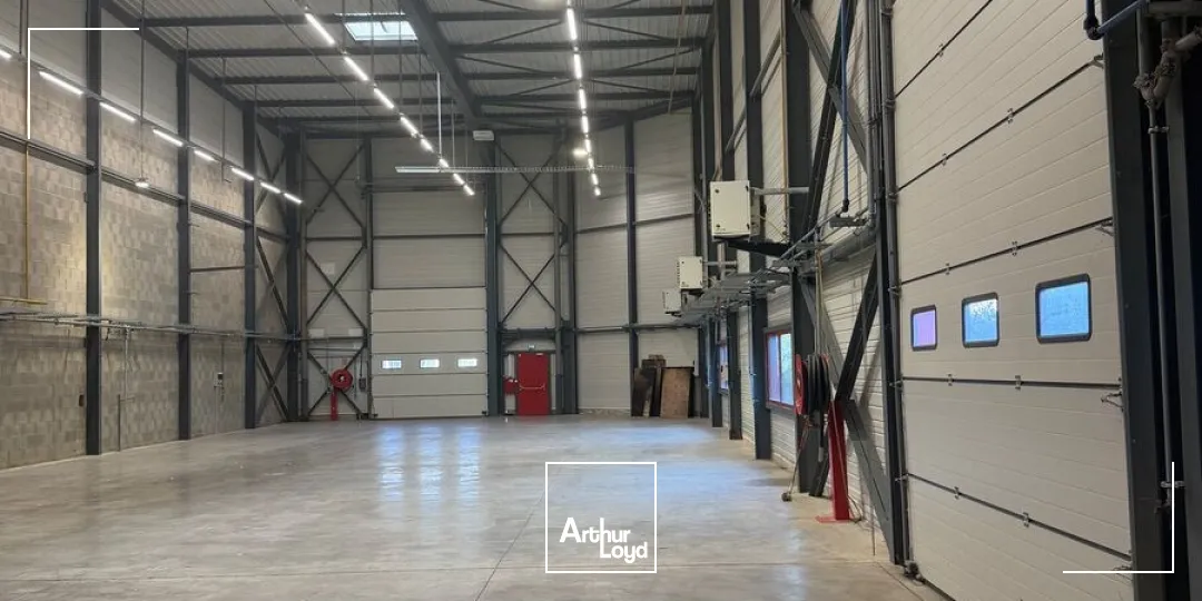 Locaux d'activité & Entrepôts - Location - DAGNEUX - 01120 - 564-564 - 7903786