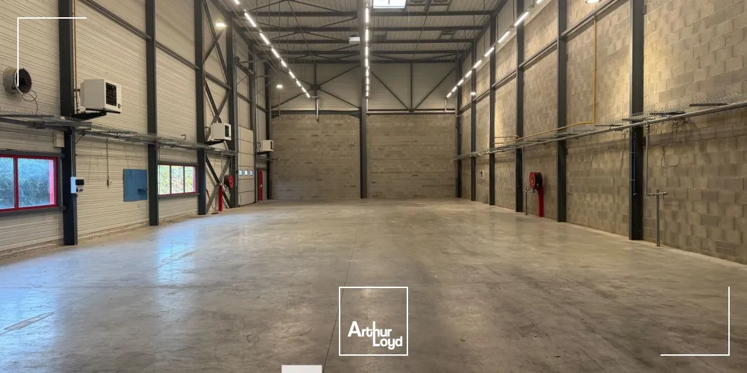 Locaux d'activité & Entrepôts - Location - DAGNEUX - 01120 - 564-564 - 7903787