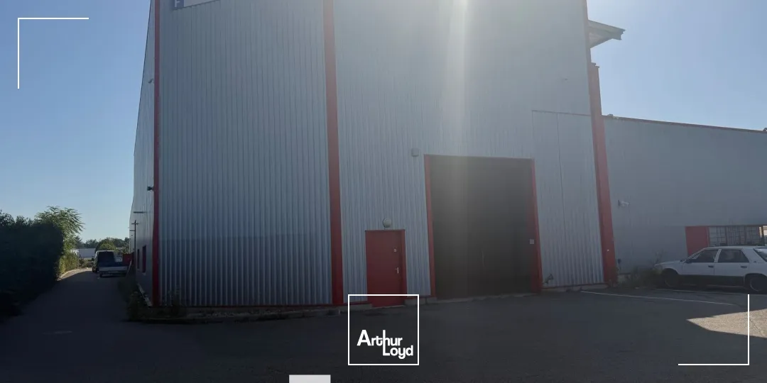 Locaux d'activité & Entrepôts - Location - DAGNEUX - 01120 - 564-564 - 7903790