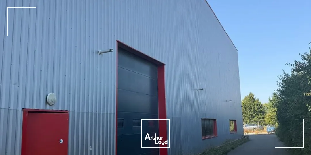 Locaux d'activité & Entrepôts - Location - DAGNEUX - 01120 - 564-564 - 7903789
