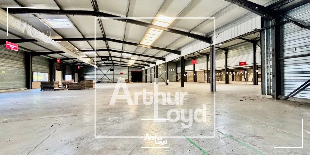 Locaux d'activité & Entrepôts - Vente - JACOU - 34830 - 3832-3832 - 7904082