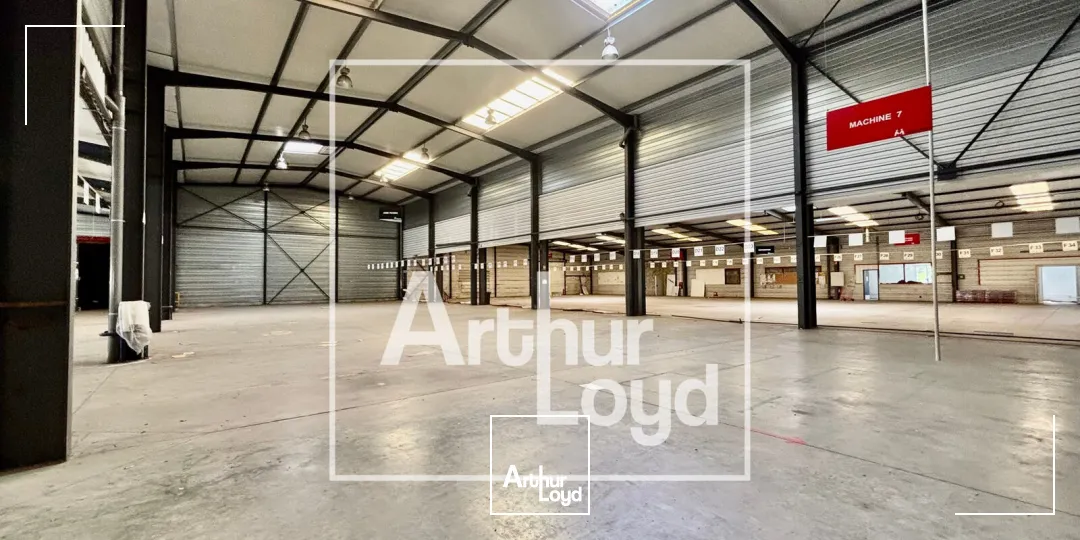 Locaux d'activité & Entrepôts - Vente - JACOU - 34830 - 3832-3832 - 7904081