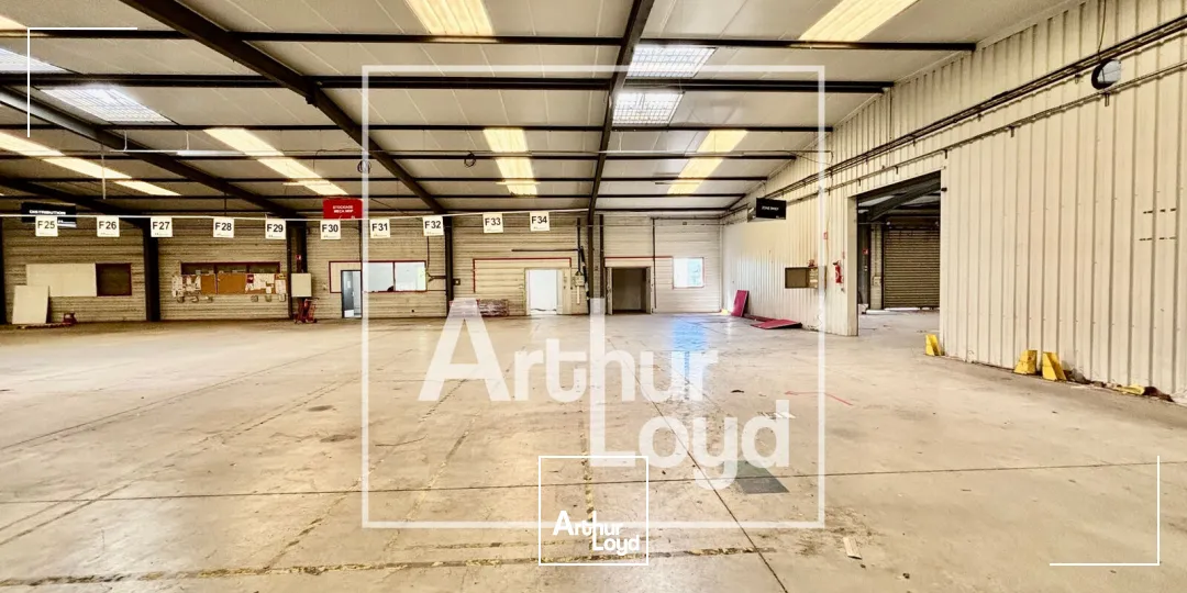 Locaux d'activité & Entrepôts - Vente - JACOU - 34830 - 3832-3832 - 7904084