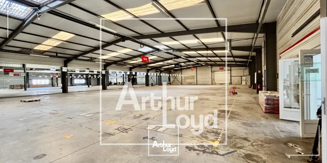 Locaux d'activité & Entrepôts - Vente - JACOU - 34830 - 3832-3832 - 7904085