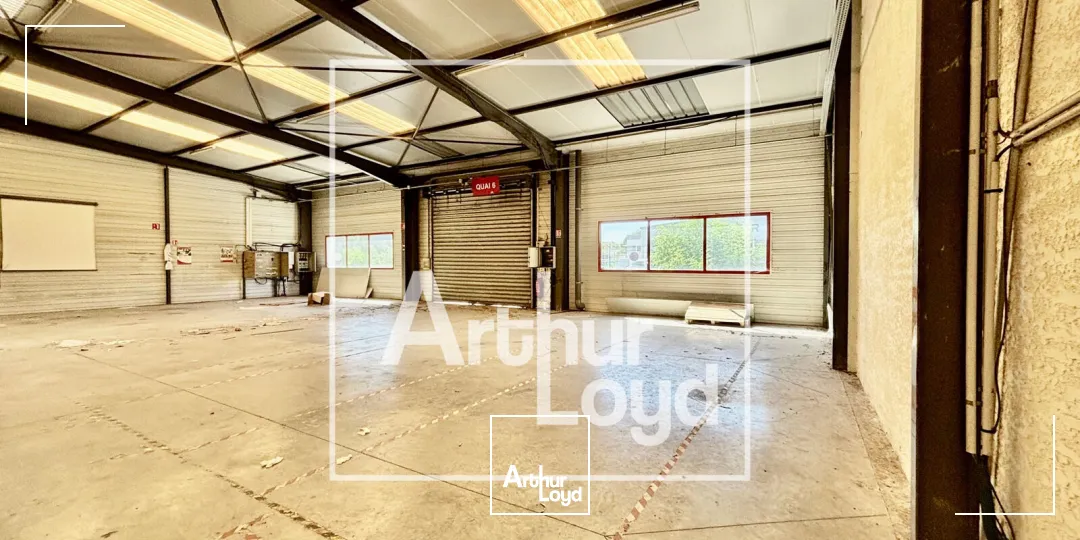Locaux d'activité & Entrepôts - Vente - JACOU - 34830 - 3832-3832 - 7904088