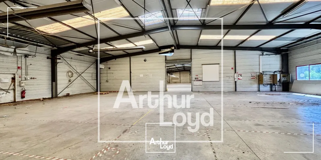 Locaux d'activité & Entrepôts - Vente - JACOU - 34830 - 3832-3832 - 7904086