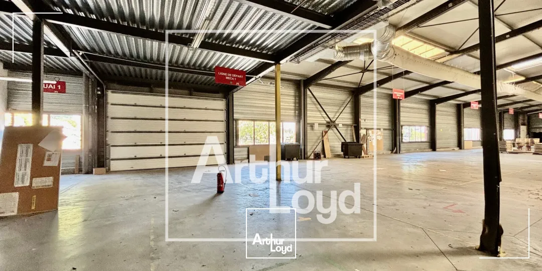 Locaux d'activité & Entrepôts - Vente - JACOU - 34830 - 3832-3832 - 7904087