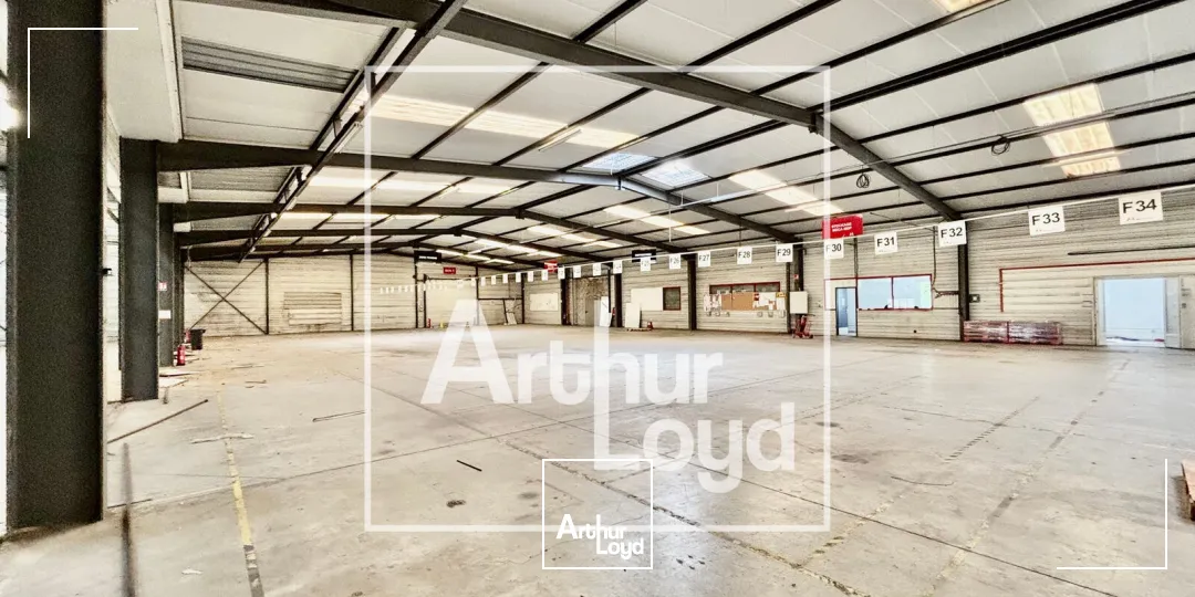 Locaux d'activité & Entrepôts - Vente - JACOU - 34830 - 3832-3832 - 7904083