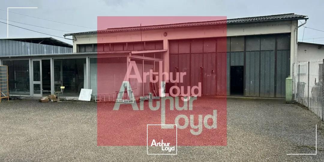 Locaux d'activité & Entrepôts - Vente - BOÉ - 47550 - 265-265 - 7904524