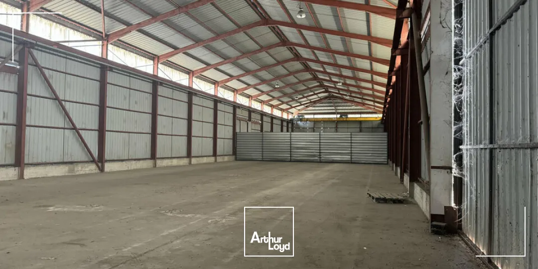 Locaux d'activité & Entrepôts - Location - AVIGNON - 84000 - 1410-1410 - 7904887