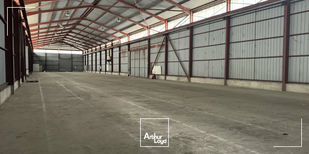 Locaux d'activité & Entrepôts - Location - AVIGNON - 84000 - 1410-1410 - 7904888