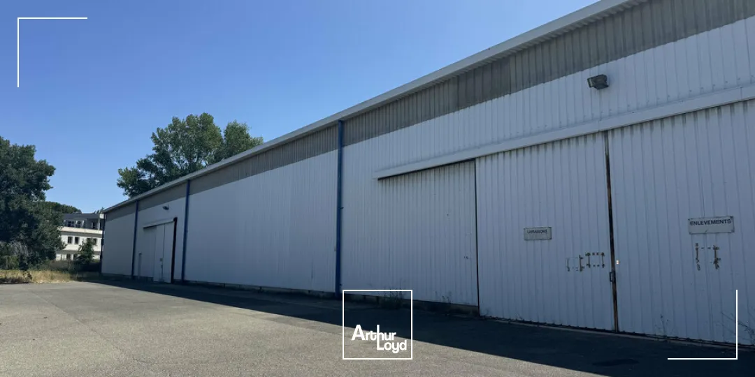 Locaux d'activité & Entrepôts - Location - AVIGNON - 84000 - 1410-1410 - 7904885