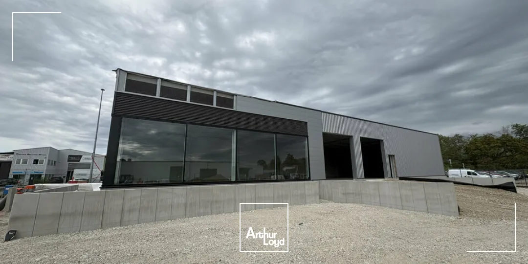 Locaux commerciaux - Location - SÉLESTAT - 67600 - 350-350 - 7904945