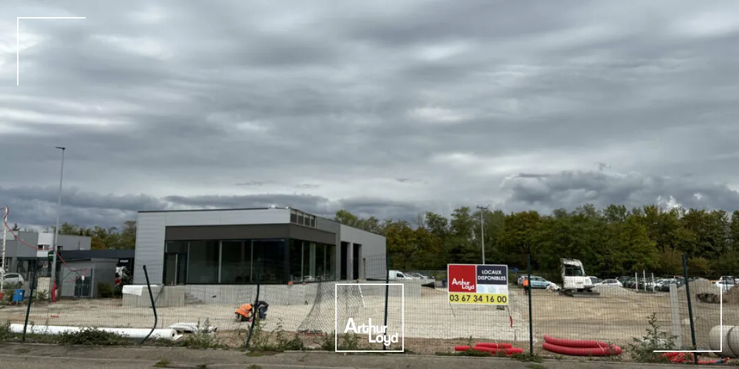 Locaux commerciaux - Location - SÉLESTAT - 67600 - 350-350 - 7904943