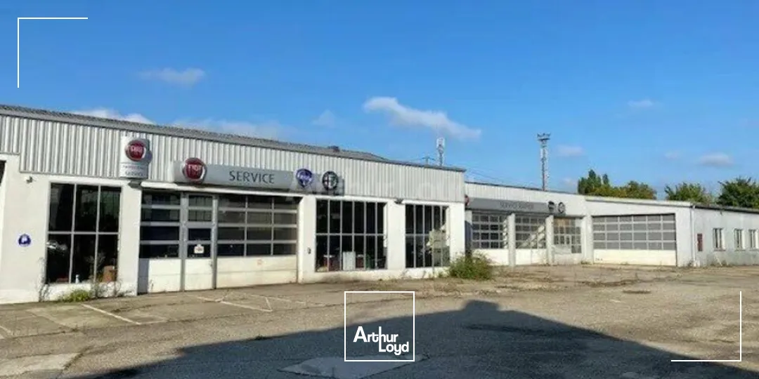 Locaux commerciaux - Location - HAGUENAU - 67500 - 1230-1230 - 7905892